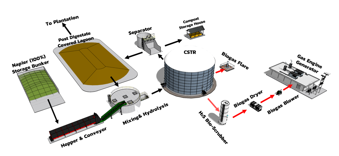 ระบบผลิตก๊าซชีวภาพจากพืชพลังงาน และหญ้าเนเปียร์ เพื่อนำไปผลิตไฟฟ้า